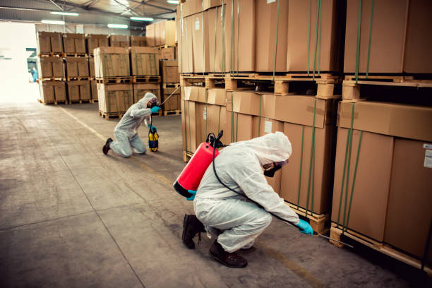 Best Pest Removal Services  in Mount Olive, MS