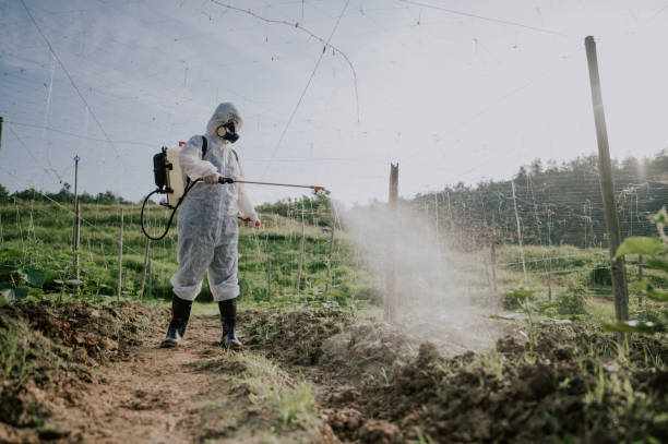 Best Ant Control Services  in Mount Olive, MS