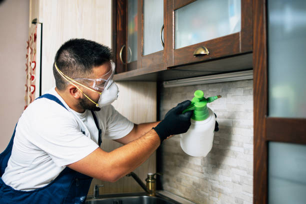 Best Pest Control Treatment  in Mount Olive, MS